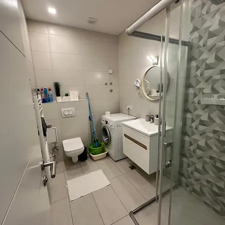 Apartmán Basc Modern 1 *